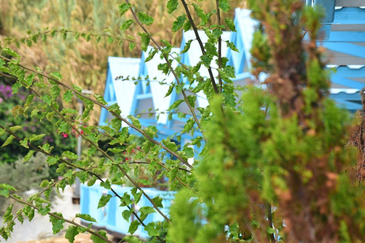 Cflow Beach Resort Byblos Bagian luar foto
